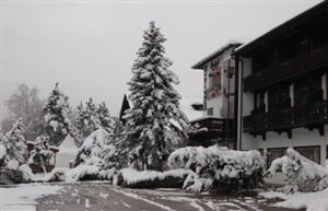 Val di Fiemme - Hotel Regina Delle Dolomiti ***