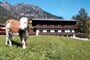 Alpbach - Hotel Haus Andreas & Rosstall
