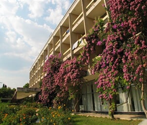 basko_polje-alem,hotel
