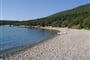 martinscica-zlatni_lav_htl-01