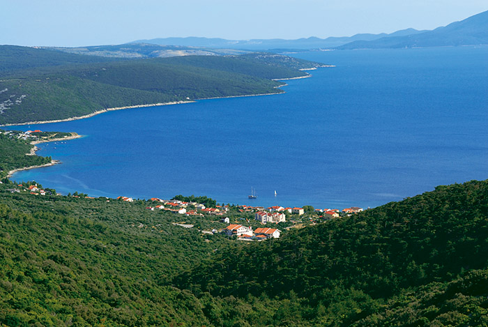 martinscica-zlatni_lav_htl-06