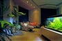 veli_losinj-punta_htl-08