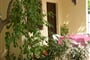 orebic-jele-05-terrace