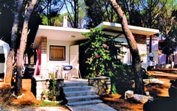 Camp Diana & Josip - bungalovy 8 dní