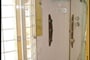 sukosan-casadelsol-prvnipatro-23-valencia