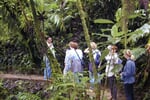 Jungle Tour