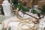crikvenica-international-15