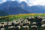 Polsko - Polské Tatry a Zakopané **