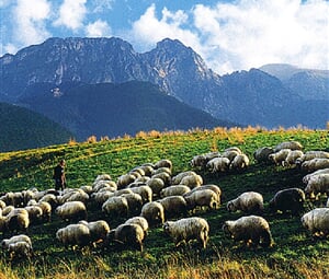 Polsko - Polské Tatry a Zakopané **