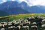 Polsko - Polské Tatry a Zakopané **
