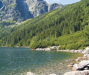 Koscieliska dolina
