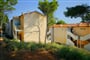 jelsa-pinus-apt-_15