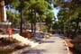 jelsa-pinus-apt-_24