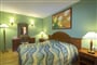 jelsa-pinus-apt-_67