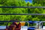 veli_losinj-punta-apt_02