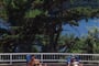 rabac-allegro_hotel (ex castor)_ swimming_ pool
