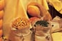 porec-mediteranske_speciality