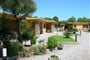 Apartm�ny se nach�z� v p��zemn�ch domc�ch