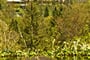 plitvice-plitvice-htl-06