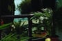 opatija-kristal_htl-23-relax