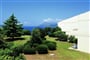 dubrovnik-argosy horticulture