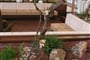 umag-sol_garden_istra_hotel-09-hala