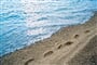 neum-stella_hotel-30-plaze