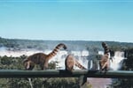 Vodopády Iguacu - nosálové