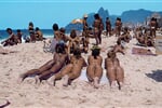 Rio de Janeiro - Copacabana