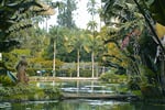 Rio de Janeiro - botanická zahrada