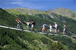 IMG_6300t