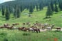 Rumunsko - Apuseni: Vladeasa a Bihor - 