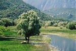 Skadarské jezero je obklopeno horami