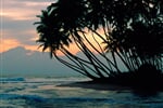 Sri_Lanka_Cejlon_03