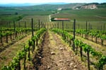 Madarsko_Eger_Tokaj_vino_termaly_02