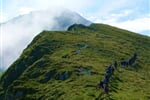 Rumunsko - Fagaraš