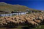 Makedonie_Sar_Planina_Korab_a_dalsi_vrcholy_09