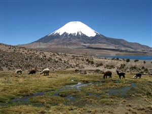 NP Peru, Bolívie a Chile s trekingem
