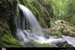 Sureanu_Paring_02