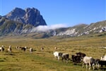 Pamatky_a_prirodni_zajimavosti_stredni_Italie_01i