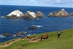 Skotsko - Shetlandy s turistikou