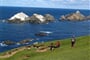 Skotsko - Shetlandy s turistikou