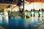 Bad_Lagunenbecken_quer[1]