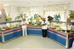 Foto - Hotel Vital Beach ***