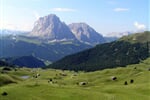 Foto - Val Gardena - Pension Insam **