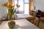 BŰKFŰRDŐ - hotel APARTMAN***  - Vánoce a Silvestr autobusem  (HUN)