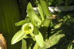 Madagaskar - ostrov lemurů a přírodních krás