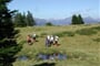 Foto - Lungau - Apartmány Grübl - Thomatal