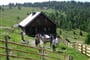 Foto - Lungau - Apartmány Grübl - Thomatal