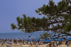 Lignano Pineta - Hotel Soraya***superior - 150 m od pláže